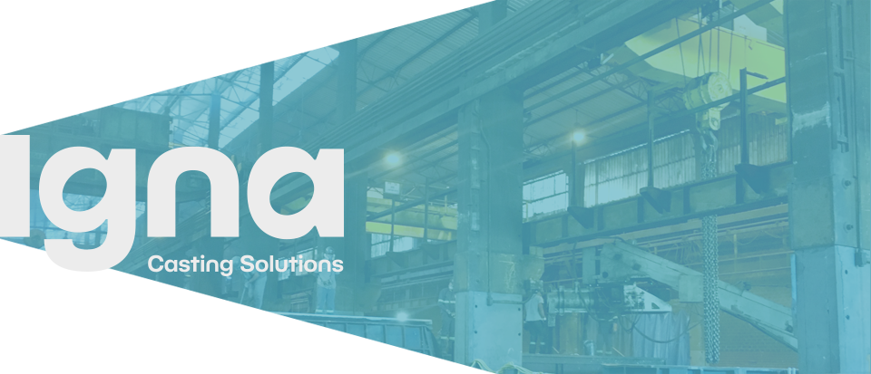 Igna Casting Solutions