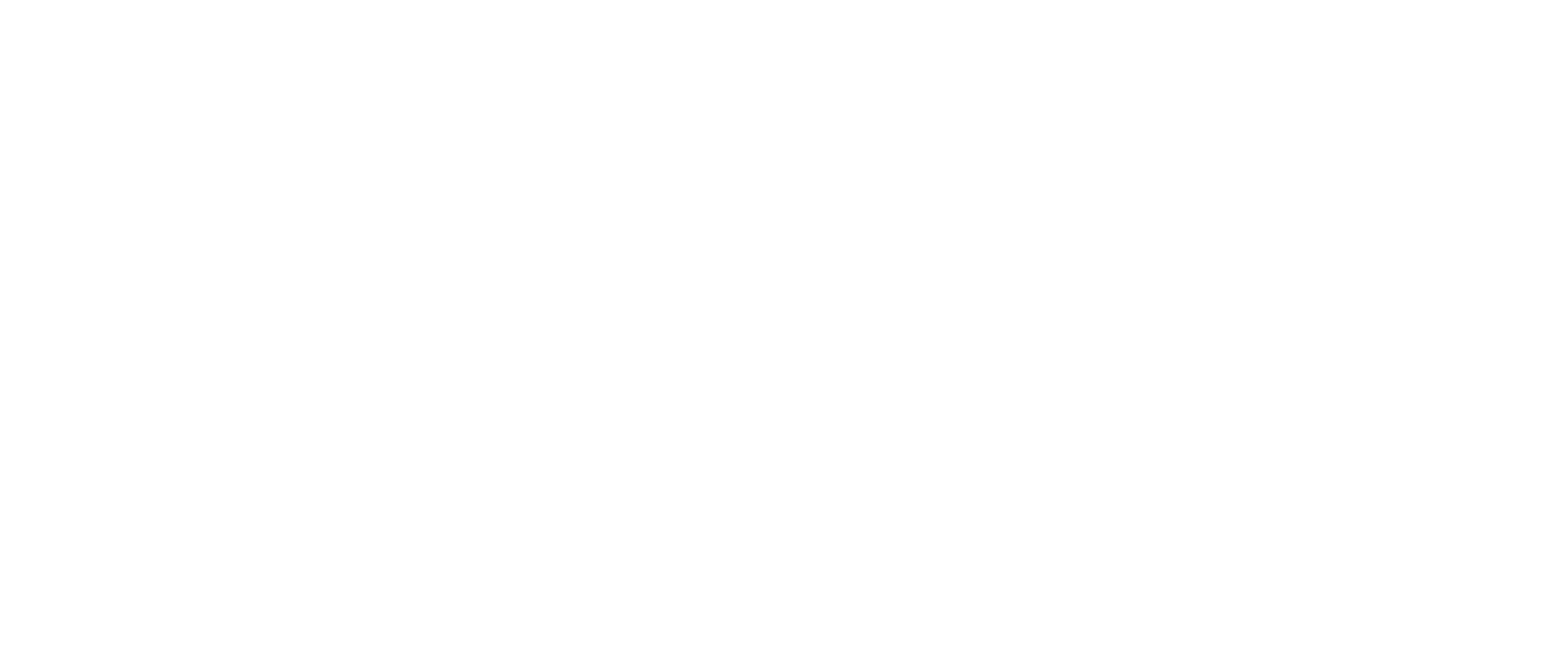 Igna Casting Solutions