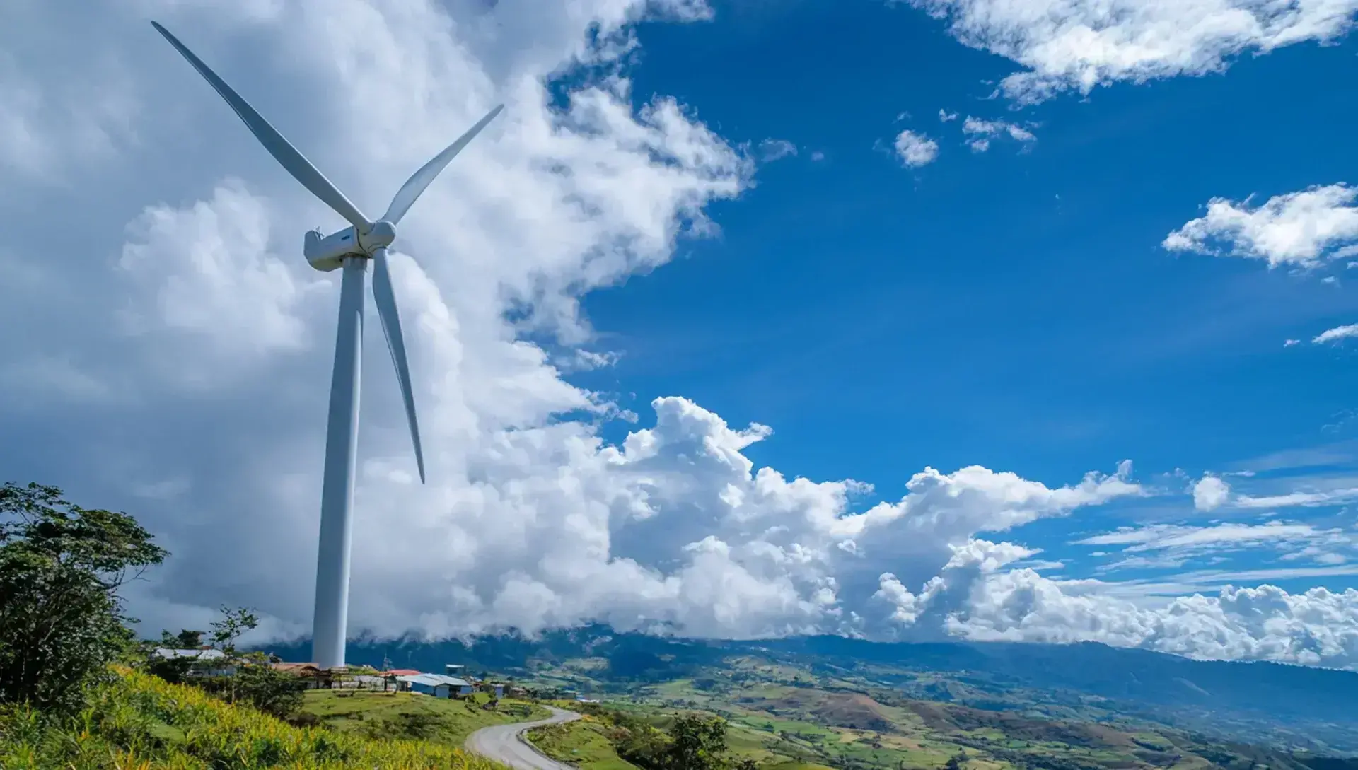 Segmento atendido - Wind